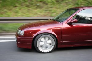 IMG_8232.jpg