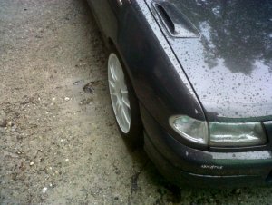 IMG00547-20120612-2041.jpg