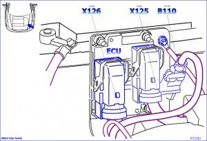 1000044373.jpg 1000044373.jpg