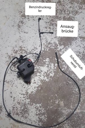 20181214_080424.jpg