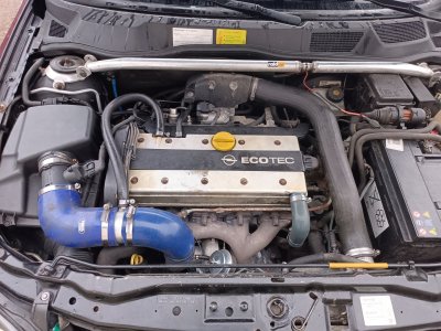 IMG_20251008_162633[1].jpg