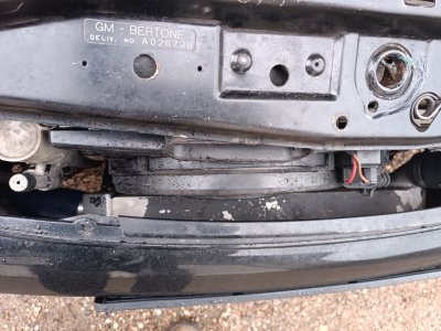 IMG_20251008_162645[1].jpg