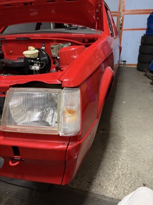 Groß (IMG_2445).jpeg