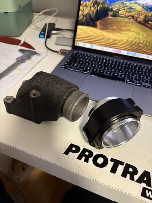 Groß (IMG_2489).jpeg