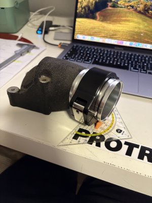 Groß (IMG_2490).jpeg