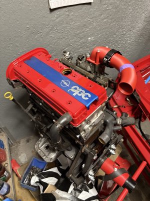 Groß (IMG_2501).jpeg