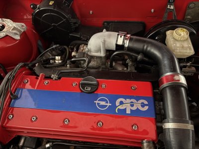 Groß (IMG_3242).jpeg