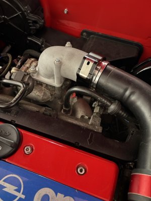 Groß (IMG_3243).jpeg