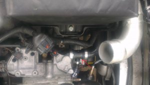 IMAG0642.jpg IMAG0642.jpg