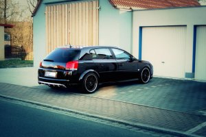papa-auto-.jpg