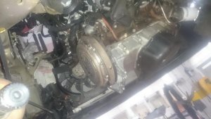 DSC_0345.jpg DSC_0345.jpg