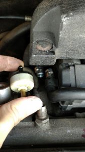 IMG_20180912_0838207.jpg IMG_20180912_0838207.jpg