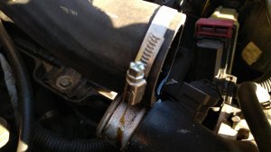 IMG_20180912_0844115.jpg IMG_20180912_0844115.jpg