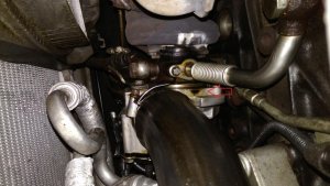 IMG_20180912_0933529.jpg IMG_20180912_0933529.jpg