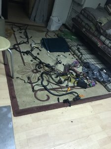 IMG_2724.jpg