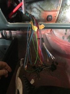 IMG_5456_autoscaled.jpg