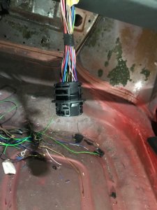 IMG_5457_autoscaled.jpg