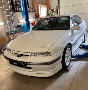 Calimero.jpg Calimero.jpg