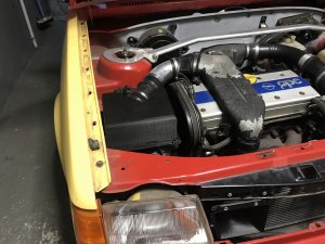 IMG_7001.jpeg
