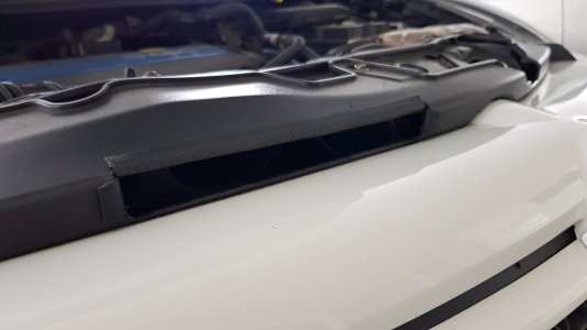 20190327_152813.jpg